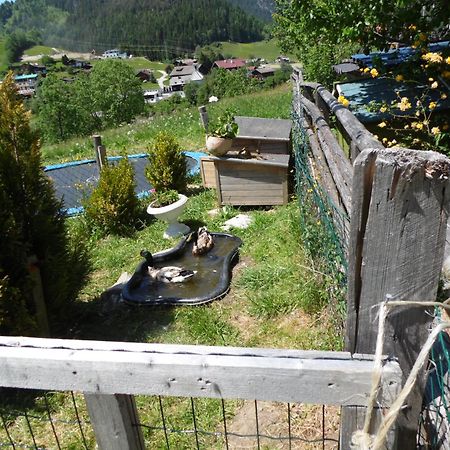 Baby- Und Kinderbauernhof Montaning Forstau  Kültér fotó