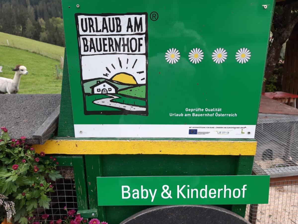 Baby- Und Kinderbauernhof Montaning Forstau  Kültér fotó