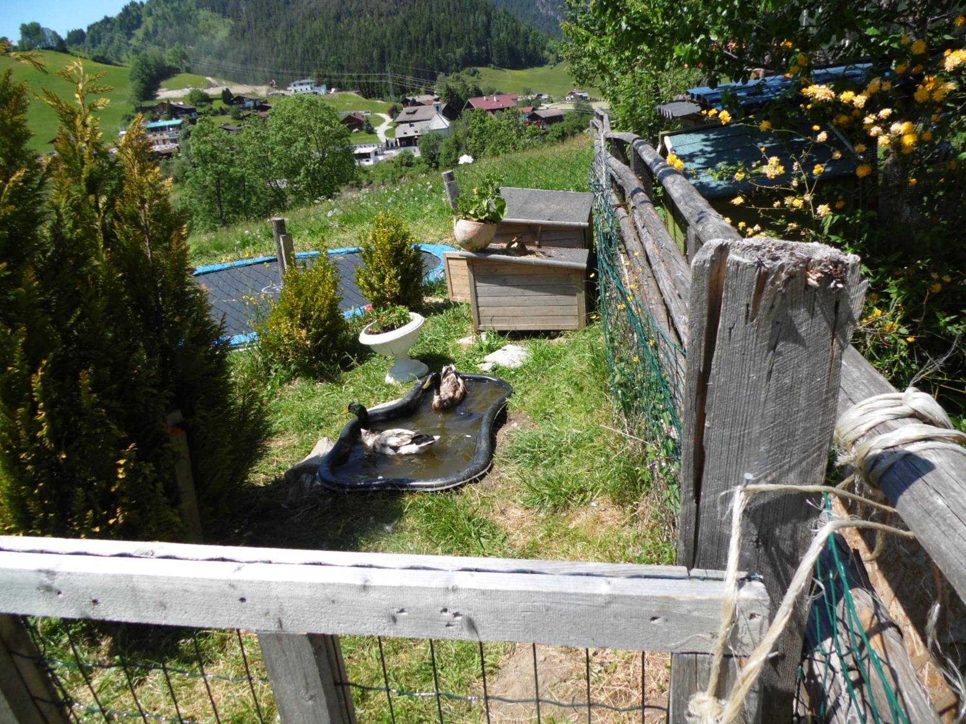 Baby- Und Kinderbauernhof Montaning Forstau  Kültér fotó
